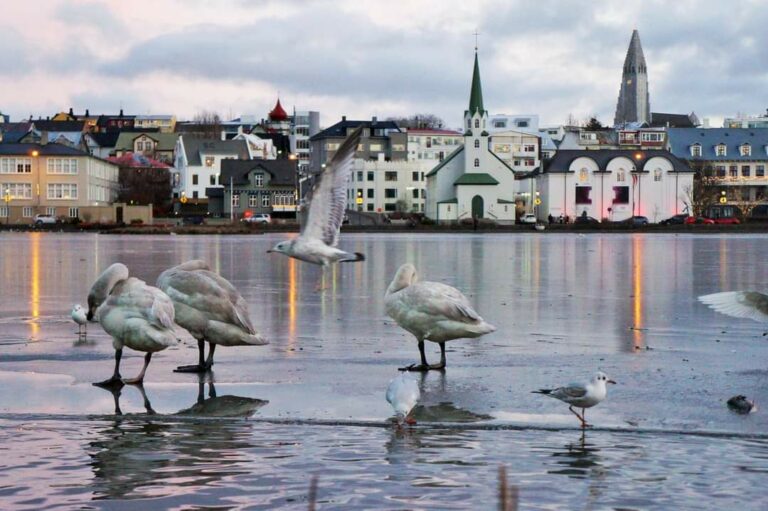 В Рейкьявике жарко на рынке жилья. Исландия – лидер по росту цен на недвижимость